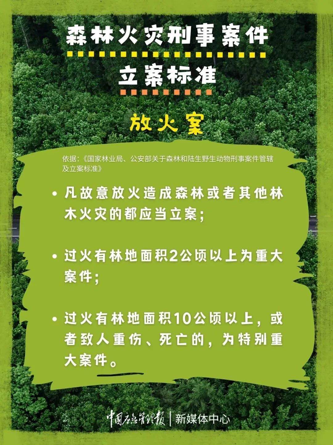 均被判刑！这些森林火灾典型案例教训深刻！