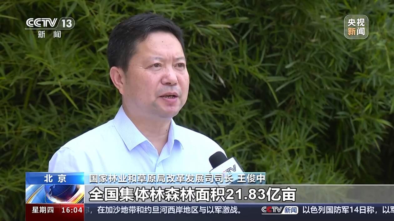 我国森林覆盖率超24%！还有这两项数据，居世界第一