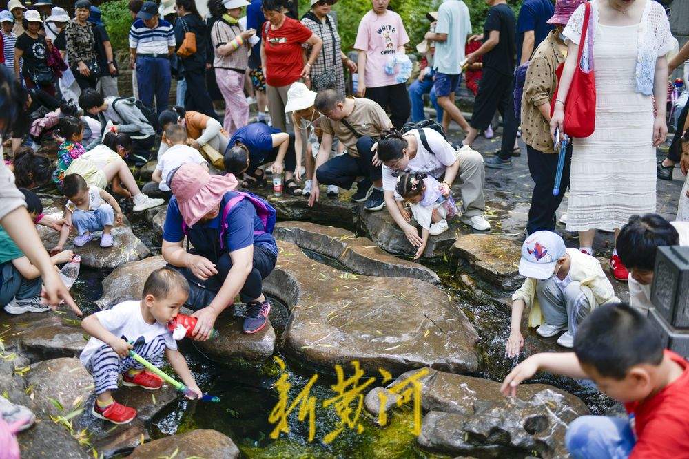 一年四季 泉在济南｜仲夏持续高温 泉畔避暑有“凉方”