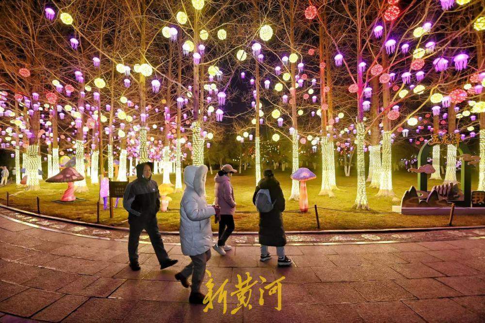 泉城年味渐浓 五龙潭花灯悄然点亮