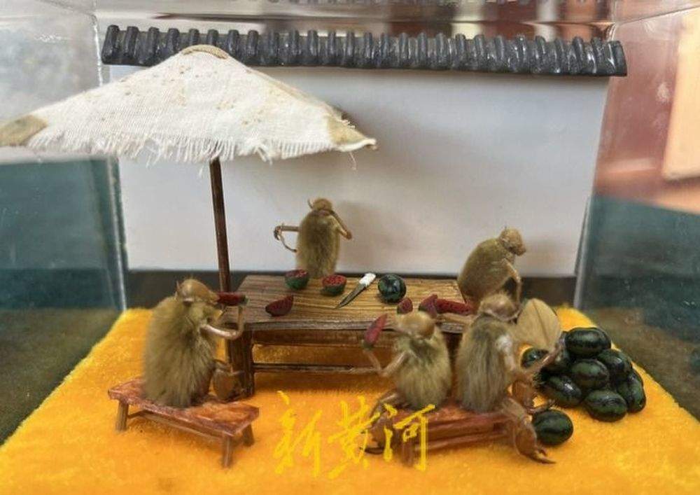 开始推选啦！谁会成为2024年“泉城非遗人”？