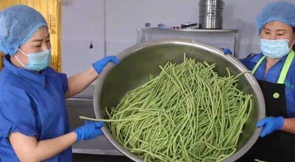 夏日限定蔬菜变身休闲小零食，“山东人有豆橛子饼干了”