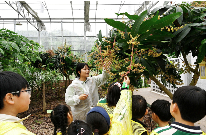  “学习型旅行”成假日经济新趋势