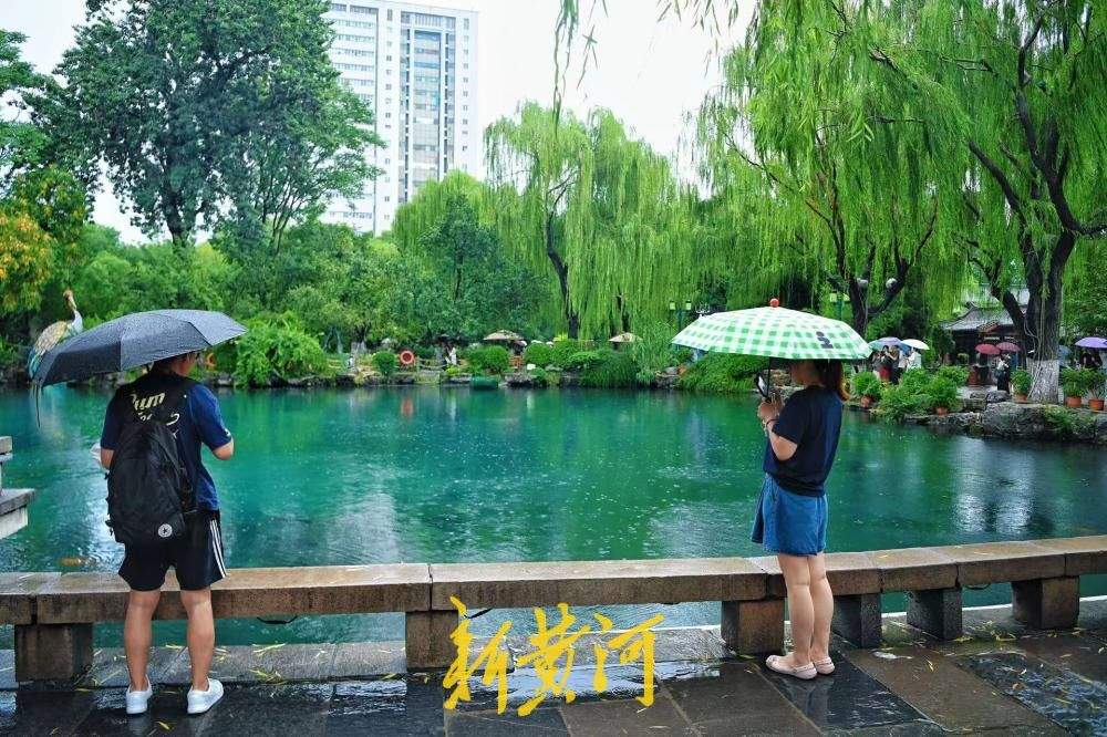 三伏天降雨消酷暑 烟雨五龙潭引游客撑伞游园赏泉