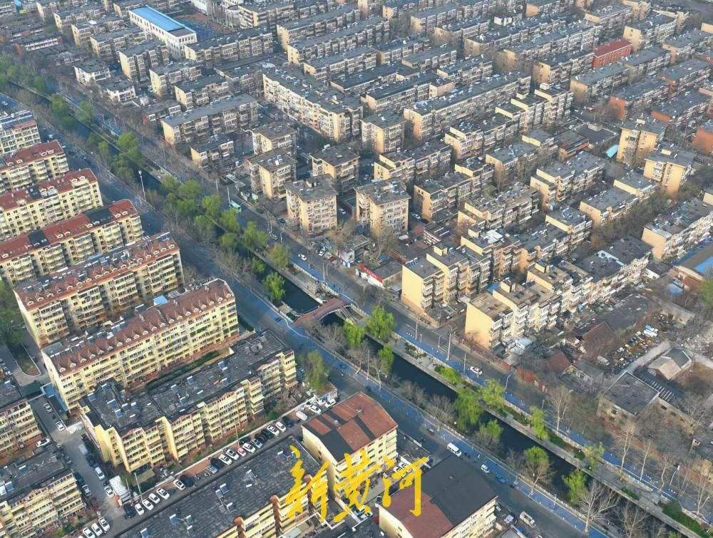 垂柳依依 济南工商河畔春色如画