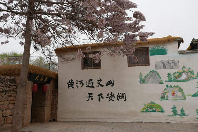 行走黄河｜东阿铜城街道艾山村：黄河畔的乡村振兴样本