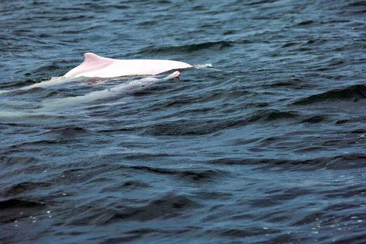 彻底火了！你认识它俩不？