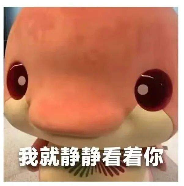 彻底火了！你认识它俩不？