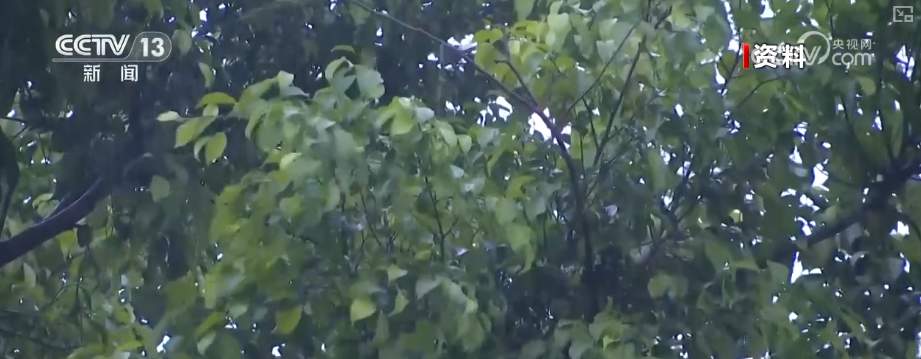 南海台风看似“平平无奇”影响不容小觑