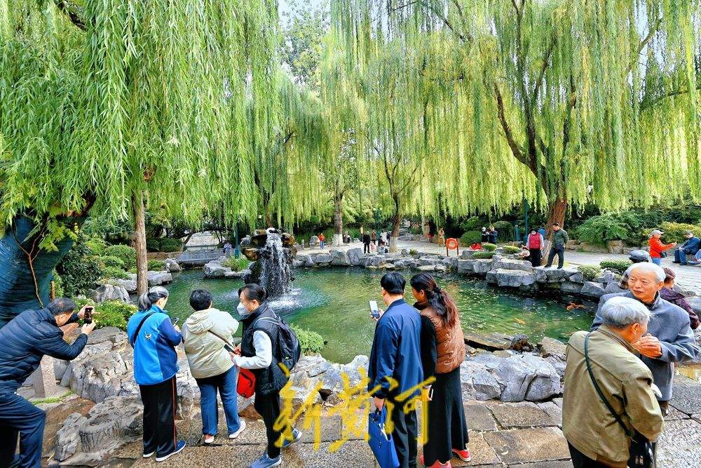 秋冬之交，泉水欢腾，泉城晚秋迷人眼