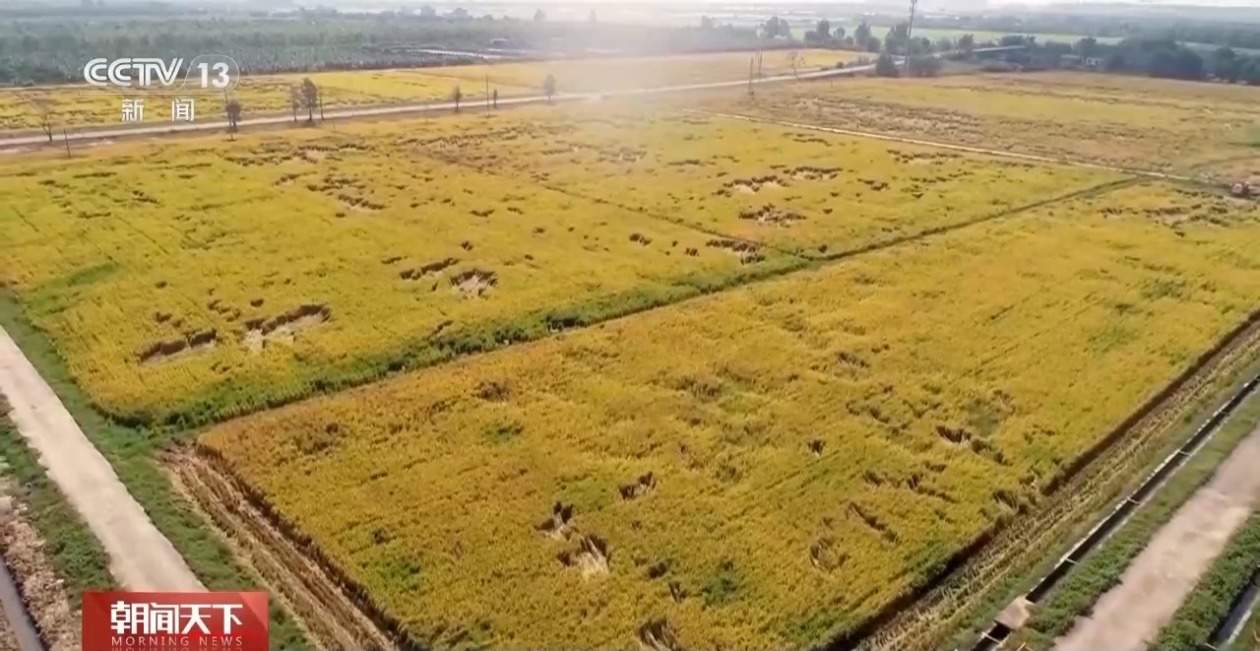 相当“巴适” 新装备上线助力春耕春管