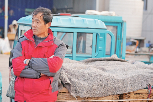 黄瓜晨市开市忙 出村进城销全国