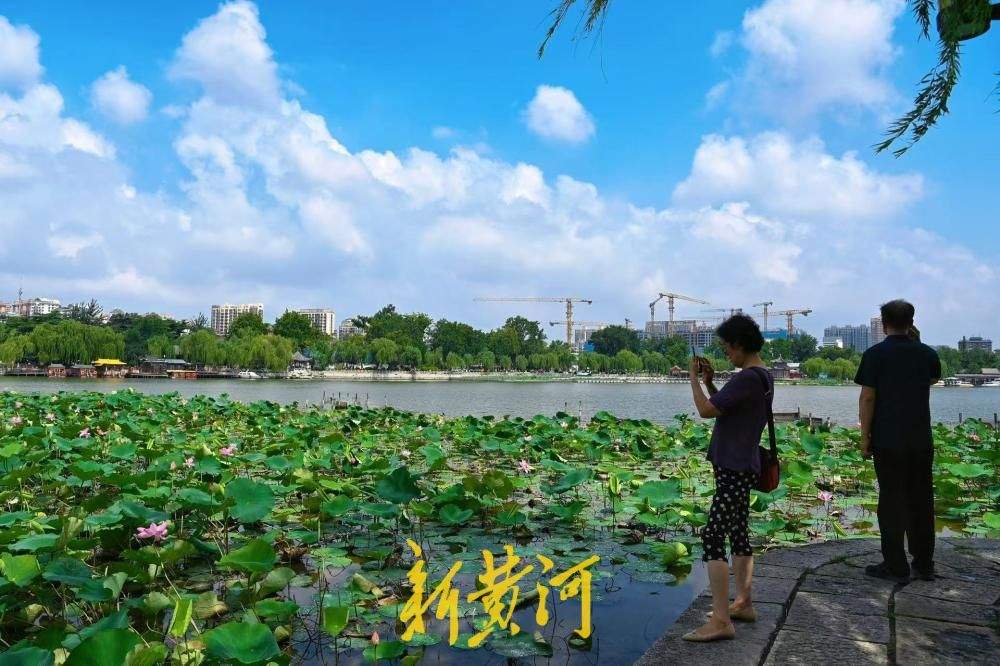 一年四季 泉在济南｜雨后泉城颜值爆表 大明湖蓝天白云荷景如画