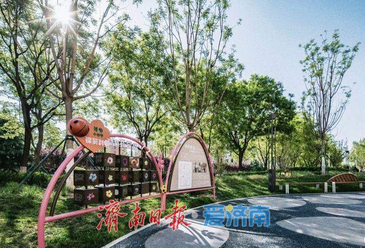 俯下身，发现一座“善育之城”