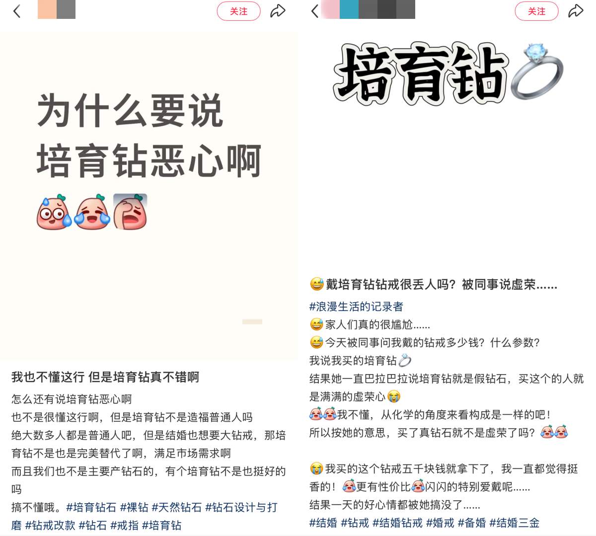 “种”出来的钻石 待开发的千亿市场