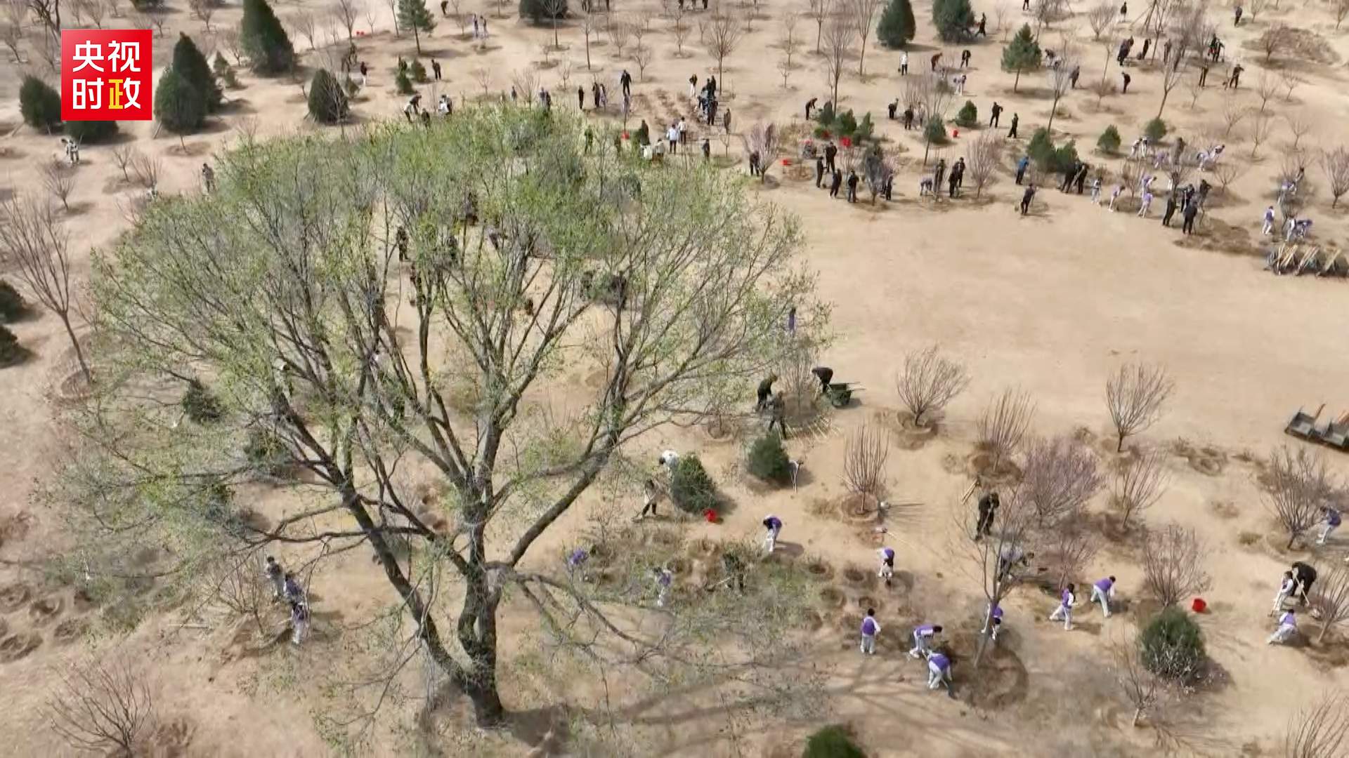 时政现场说丨厚植生态底色 共绘锦绣中国