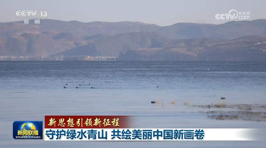 【新思想引领新征程】守护绿水青山 共绘美丽中国新画卷