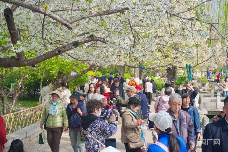济南：花开满城，暖意融融