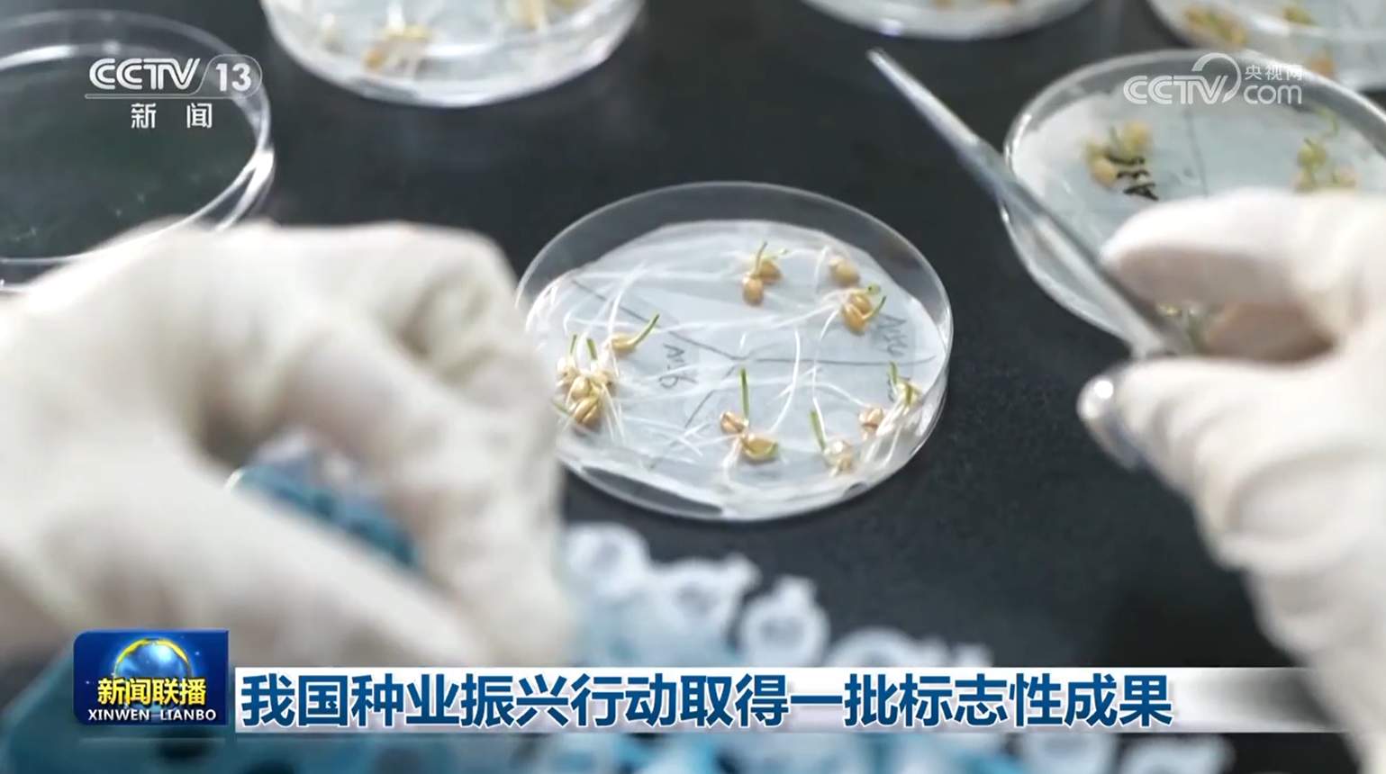 我国种业振兴行动取得一批标志性成果