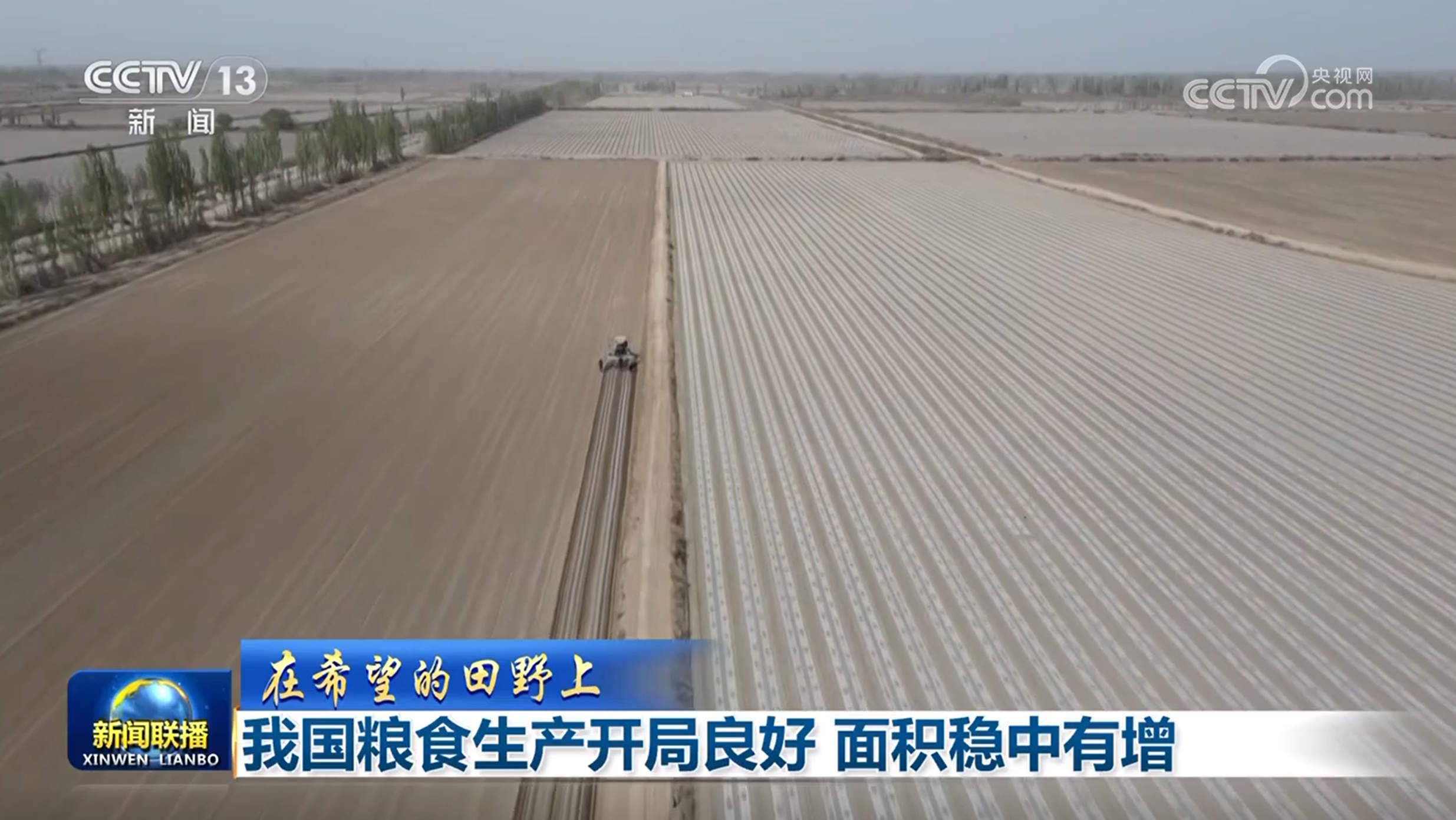 【在希望的田野上】我国粮食生产开局良好 面积稳中有增