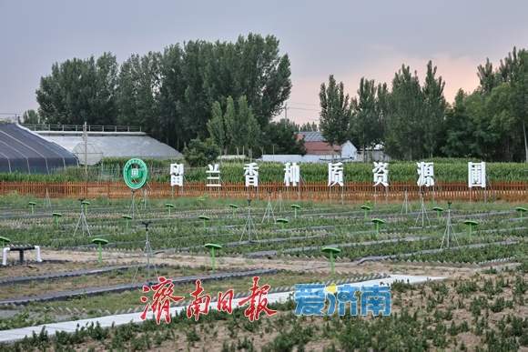 希望的田野上涌动澎湃活力 全市城市更新和乡村振兴现场推进会第二日,12个项目“百花齐放”
