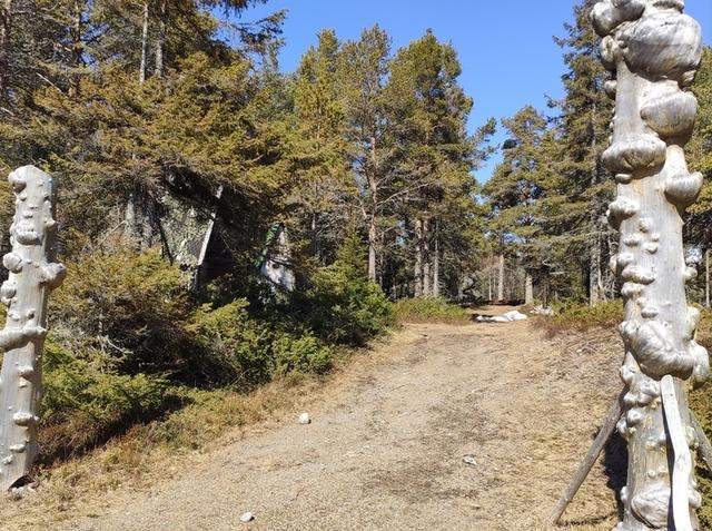 太夸张了吧 北极圈气温将升至29℃
