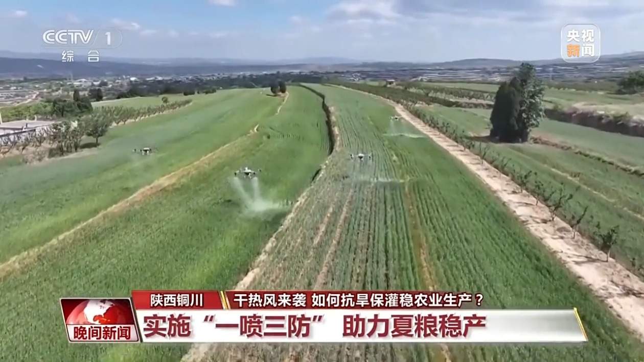 干热风来袭 如何抗旱保灌稳农业生产?