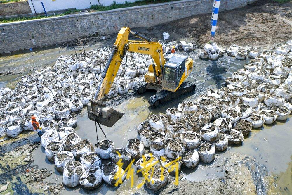 两河交汇处河道清淤 上千袋淤泥“搬新家”