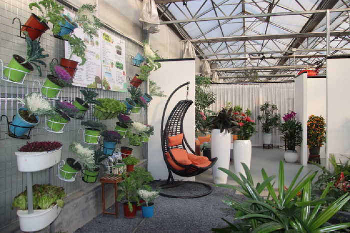 济南2026年宵花市拉开开幕,将持续至3月10日