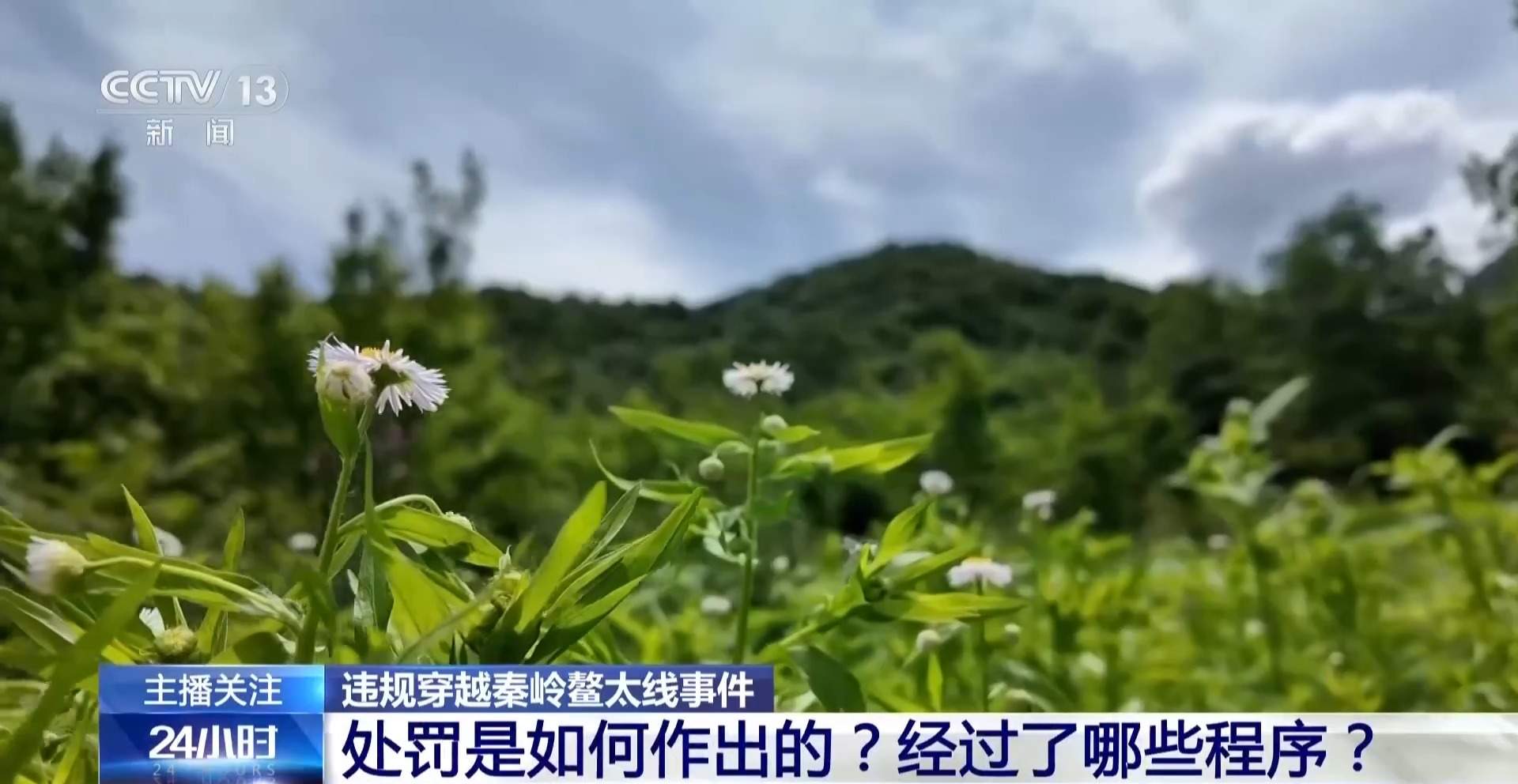 删证据躲追查 5人非法穿越鳌太线最高被罚2.5万元