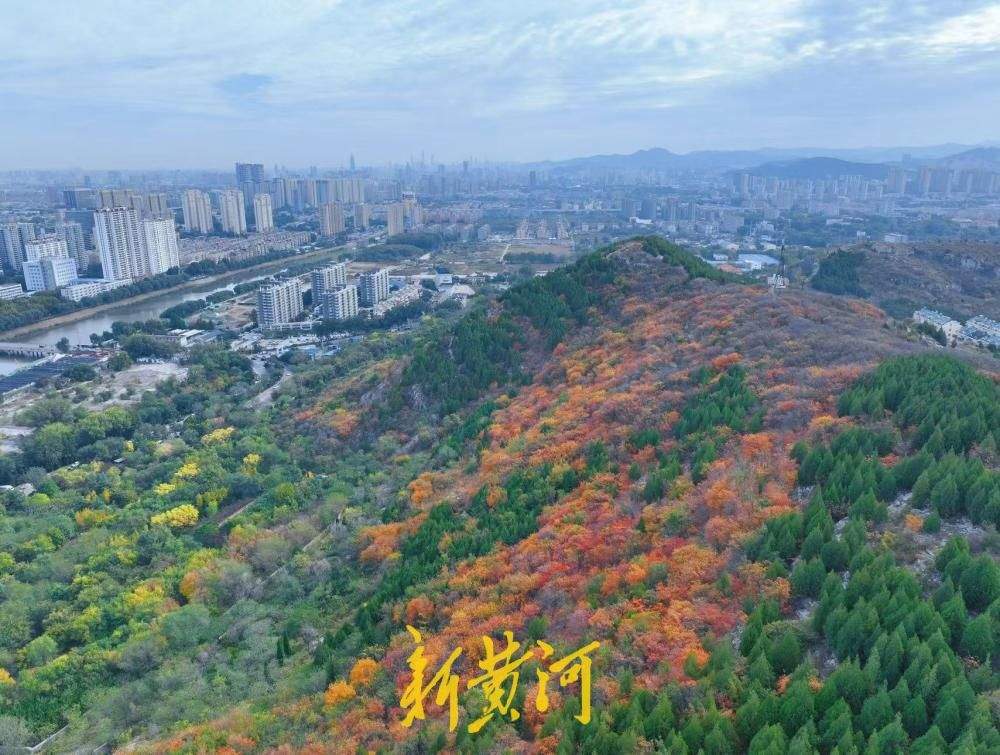 氛围感拉满！济南腊山公园解锁秋日限定色彩