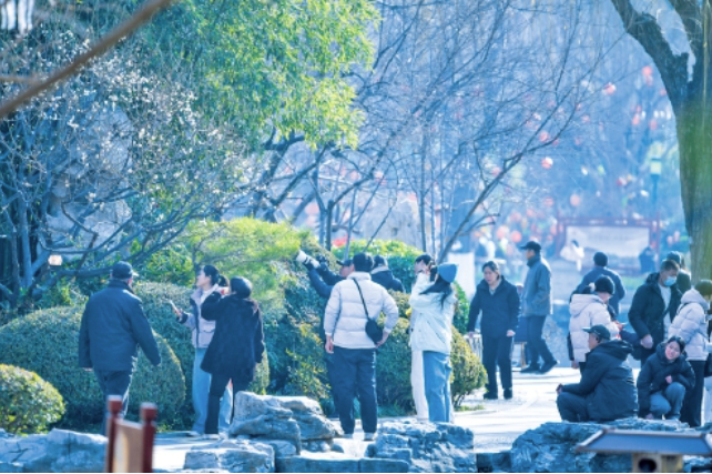 一年四季 泉在济南丨三九寒天迎“小阳春”暖阳下赏泉人气旺