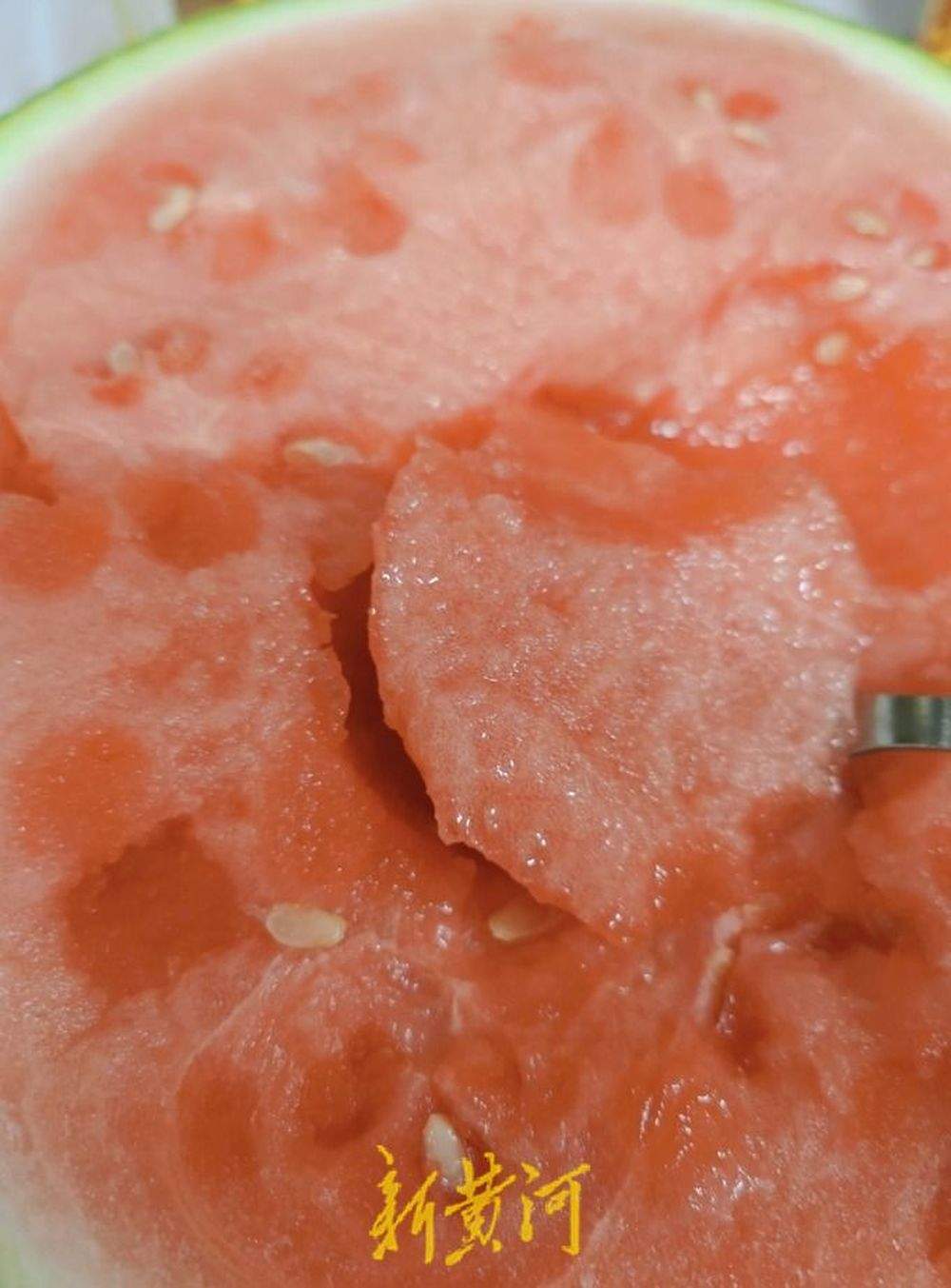 价格亲民“2元档”小型西瓜跃升济南夏日水果新顶流