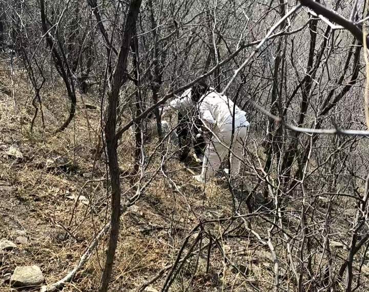 跟着“网红路线”看杏花，济南一家四口登山迷路，警方救援