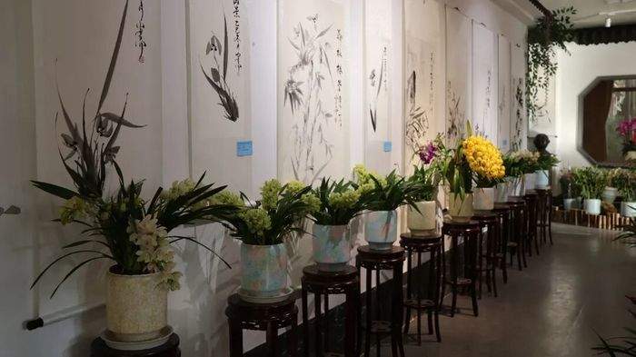 国兰珍品荟萃，2026泉城新春兰韵艺术展暨年宵花消费季拉开帷幕