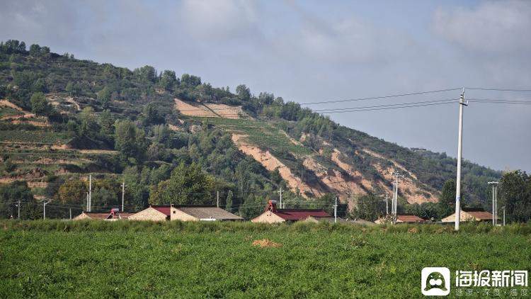 33岁女子在出租屋内身亡 官方人士回应：女子骨灰没扔被撒至河里 几次考编、考公均未进面试