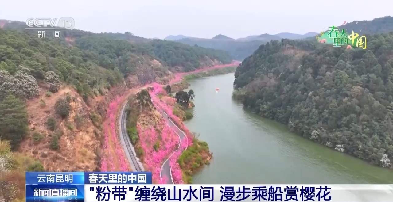 各地春日赏花有哪些好去处？请看这份赏花攻略