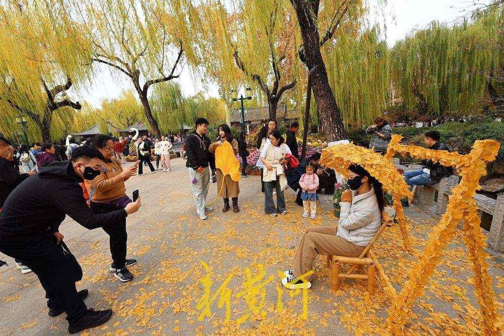 趵突泉迎来“初冬浪漫”，银杏打卡点成游客新宠