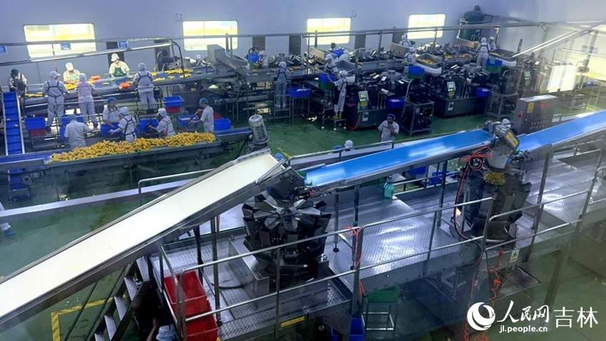“双金名片”越擦越亮 “中国饭碗”装更多“吉林粮”