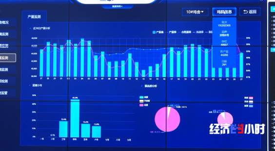 “智能模式”养鸡场 1人1年养20万只鸡 怎么做到的？