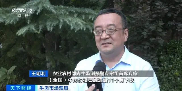 每公斤68.31元，牛肉价格跌至近5年来最低