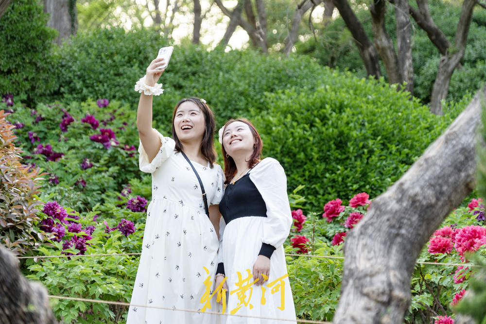 翰墨丹青绘国色，泉城牡丹醉游人