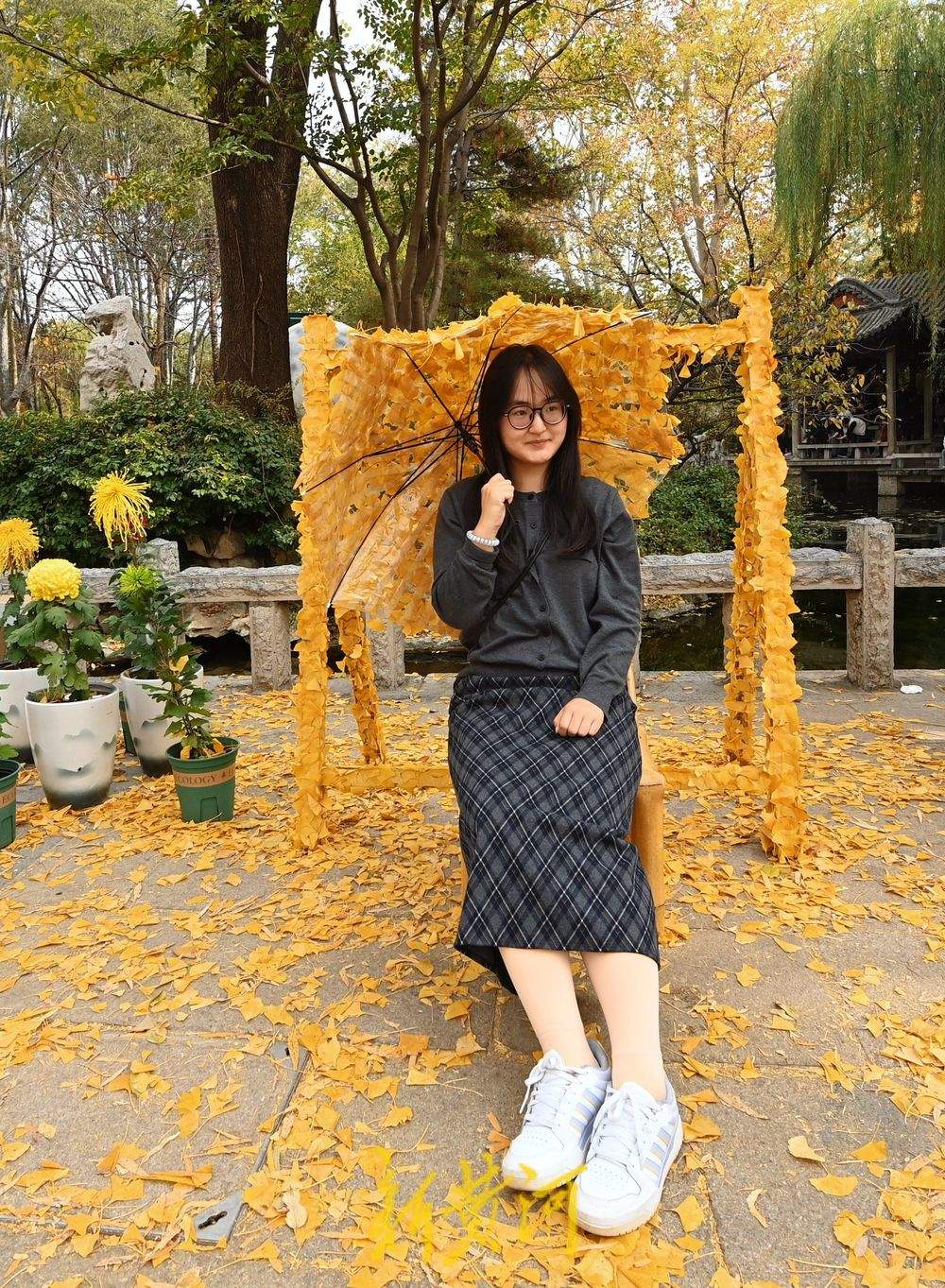 趵突泉迎来“初冬浪漫”，银杏打卡点成游客新宠