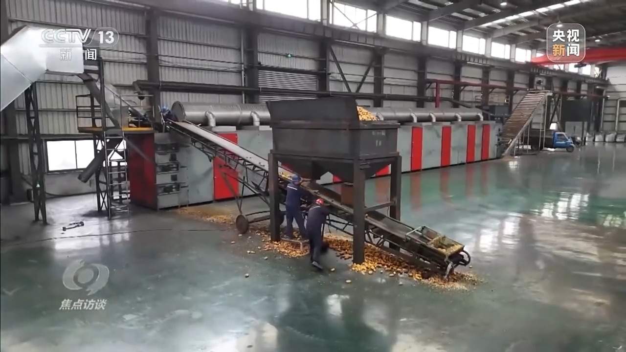 从抗旱到抢收 解读粮食增产背后的“密码”