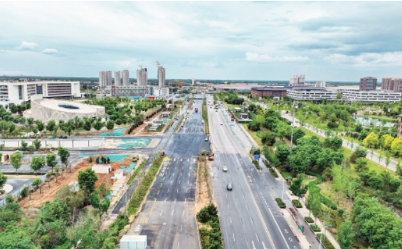 青岛路西首将恢复双向八车道