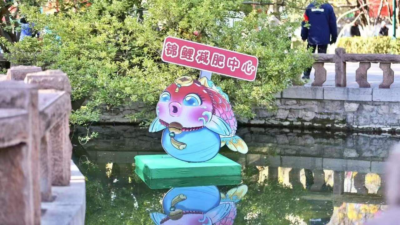 趵突泉景区回应设“锦鲤减肥中心”:只是提醒不要投喂,帮鱼减肥是误传