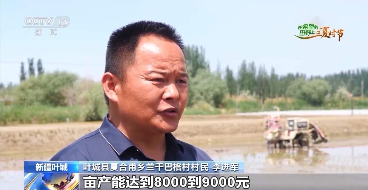 三夏时节迎丰收 小麦、稻虾、西瓜解锁农田增收“密码”