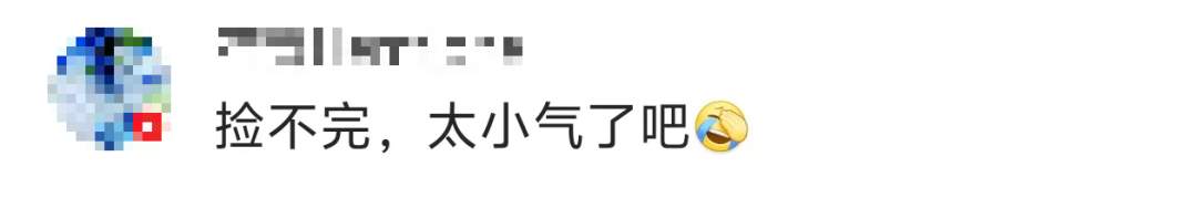 景区禁止游客捡枫叶,网友质疑“太小气”,最新回应