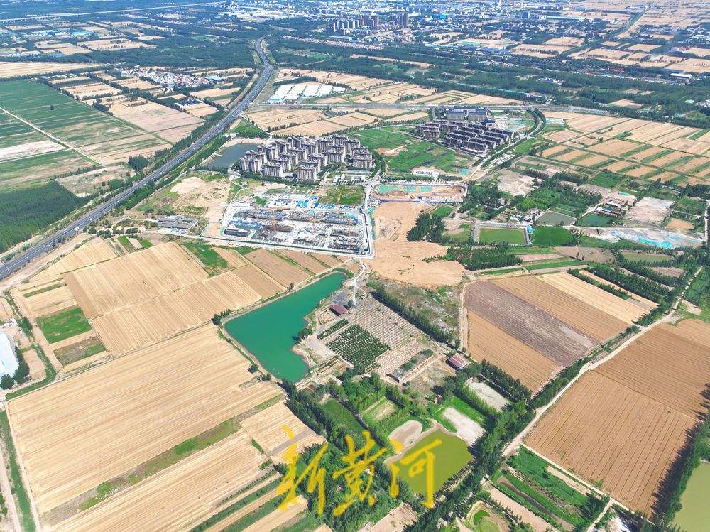 一年四季 泉在济南丨风吹麦浪 济南黄河北岸麦田美若画卷