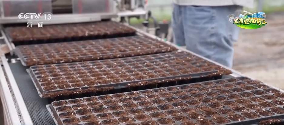 科技“组合拳”保障智慧大棚“四季如春” “菜园子”焕发现代农业新活力